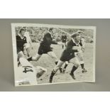 NEW ZEALAND VS BRITISH AND IRISH LIONS BLACK AND WHITE ACTION PHOTOGRAPH, Jan Webster is in the