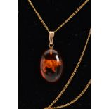A PRESSED AMBER PENDANT NECKLACE, designed as an oval pressed amber cabochon to the tapered jump