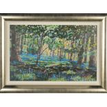 TIMMY MALLETT (BRITISH CONTEMPORARY) 'BLUEBELL SHADOWS' an artist proof print of a bluebell wood