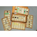 A VICTORIAN CASE OF MICROSCOPE SLIDES, comprises twelve trays of labelled specimens, includes ten