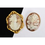 A LATE VICTORIAN CAMEO BROOCH, wavy gold plated mount containing a side profile of a classical