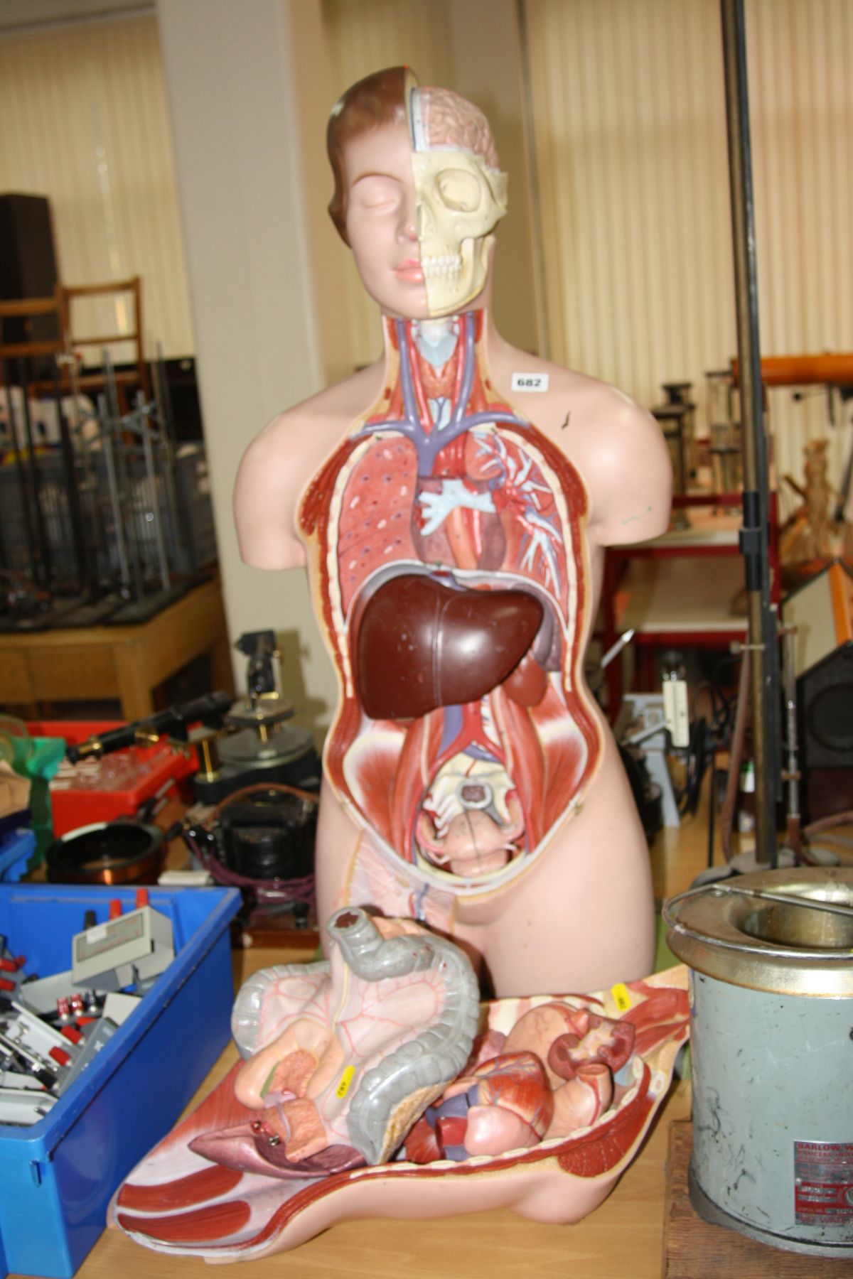 A BIOLOGY TEACHING AID PLASTIC MODEL OF A FEMALE HUMAN WITH REMOVABLE SECTIONS