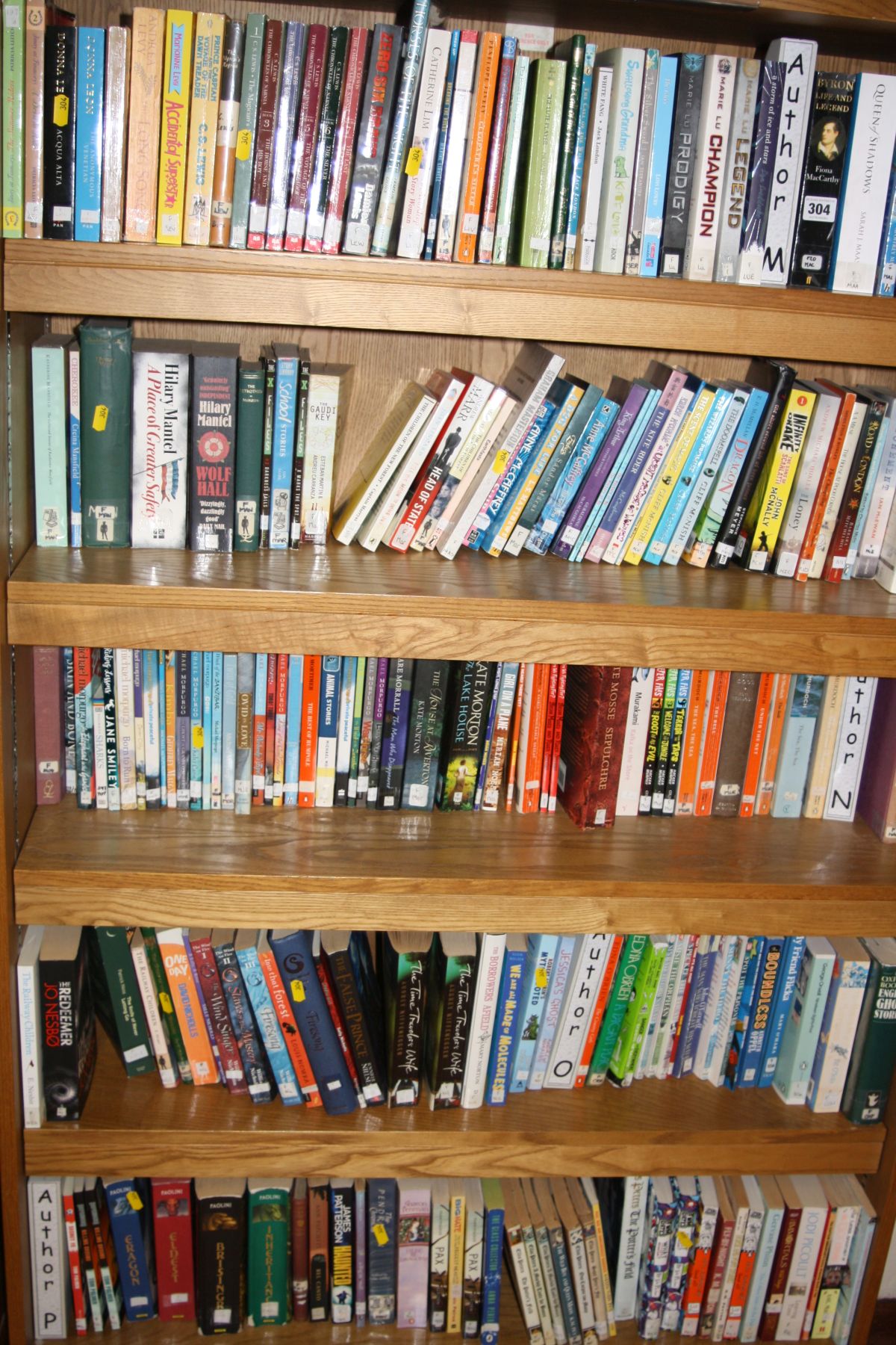 FIVE SHELVES OF BIOGRAPHIES AND NOVELS, by Marie Lu, Fiona McCarthy, CS Lewis, George Orwell, etc (