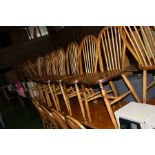 A SET OF TWELVE HOOP AND STICK BACK CHAIRS, with mahogany seats (s.d)