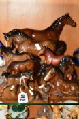 EIGHT BESWICK BROWN HORSES, to include Stock Jogging Mare No855, third version (back leg