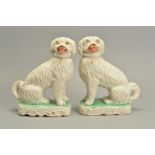 A NEAR PAIR OF VICTORIAN STAFFORDSHIRE POTTERY PIPE SMOKING SEATED SPANIELS, gilt details to collar,