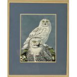 ROBERT GILLMOR (BRITISH 1936), 'Snowy Owls', a limited edition linocut print, 35/35, signed,