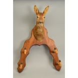 TAXIDERMY, a wall mount hat and coat stand, the shaped oak bracket with Roe deer doe's head above