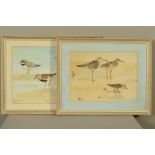R.A. RICHARDSON (BRITISH 1922-1977), a pair of watercolours depicting various birds, signed lower