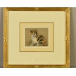 ATTRIBUTED TO LUCY DAWSON (1867-1958), 'Totsy', a pastel study of a cat, titled lower left, mounted,