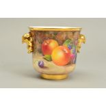 A ROYAL WORCESTER FRUIT STUDY PLANTER, shape No.3782, with gilt bird head twin handles, one side