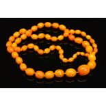 A LONG NATURAL AMBER BEAD NECKLACE, designed as sixty one graduated barrel shape butterscotch