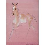 Con Campbell - YOUNG FOAL ON PINK - Oil on Board - 8 x 6 inches - Signed