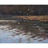Julian Friers, RUA - MALLARDS OVER THE WATER - Oil on Canvas - 16 x 20 inches - Signed