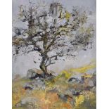 Jim Holmes - THE OLD FAIRY THORN TREE - Oil on Board - 10 x 8 inches - Signed
