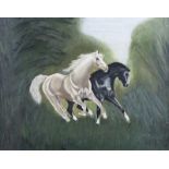 Irish School - WILD HORSES - Oil on Board - 24 x 31 inches - Unsigned