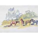 Coralie de Burgh Kinahan - HORSES GRAZING - Watercolour Drawing - 10 x 14 inches - Unsigned