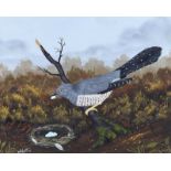 William Houston - CUCKCOO RAIDING A NEST - Gouache on Board - 15 x 19 inches - Signed