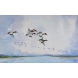 Robert W. Milliken - WIGEON OVER BELFAST LOUGH - Watercolour Drawing - 9 x 14 inches - Signed