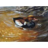Pat Kenny - SWIMMING IN A ROCK POOL - Oil on Board - 12 x 15.5 inches - Signed