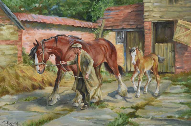 Stephen Brown - THE SHIRE HORSE - Oil on Canvas - 20 x 30 inches - Signed