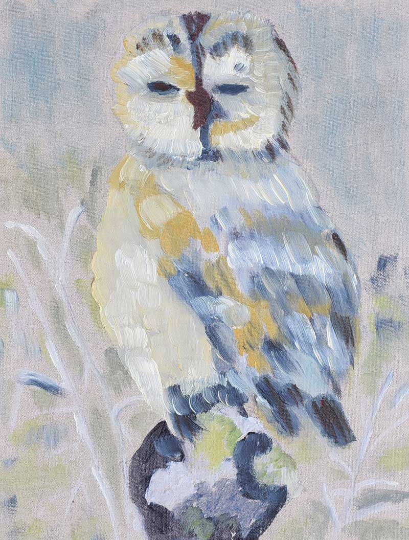 Irish School - STUDY OF AN OWL - Oil on Linen - 14 x 10.5 inches - Unsigned