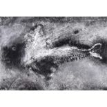 Ross Wilson, ARUA - WOOKEY HILL FISH I - Pastel on Paper - 9 x 13 inches - Signed Verso