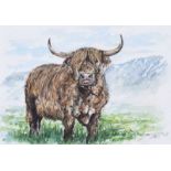 Andy Saunders - HIGHLAND BULL - Watercolour Drawing - 5 x 7 inches - Signed