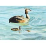 Pat Kenny - MOTHER & CHICKS - Oil on Board - 12 x 15.5 inches - Signed