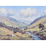 Charles McAuley - CATTLE GRAZING IN THE GLENS - Coloured Print - 6 x 8 inches - Signed