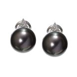 18CT WHITE GOLD TAHITIAN PEARL AND DIAMOND EARRINGS