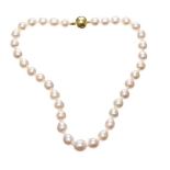 SOUTH SEA PEARLS WITH GOLD CLASP