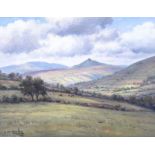 Charles McAuley - CATTLE GRAZING IN THE GLENS - Oil on Canvas - 18 x 24 inches - Signed