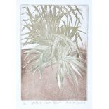 Dora McCavera - ASTELIA SILVER SPEAR - Limited Edition Coloured Aquatint (1/6) - 8 x 5.5 inches -