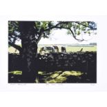Katie Desmond - DRY STONE WALLS - Limited Edition Coloured Lithograph (4/150) - 6 x 9 inches -