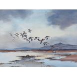 Robert W. Milliken - WIGEON FLIGHTING - Watercolour Drawing - 19 x 25 inches - Signed