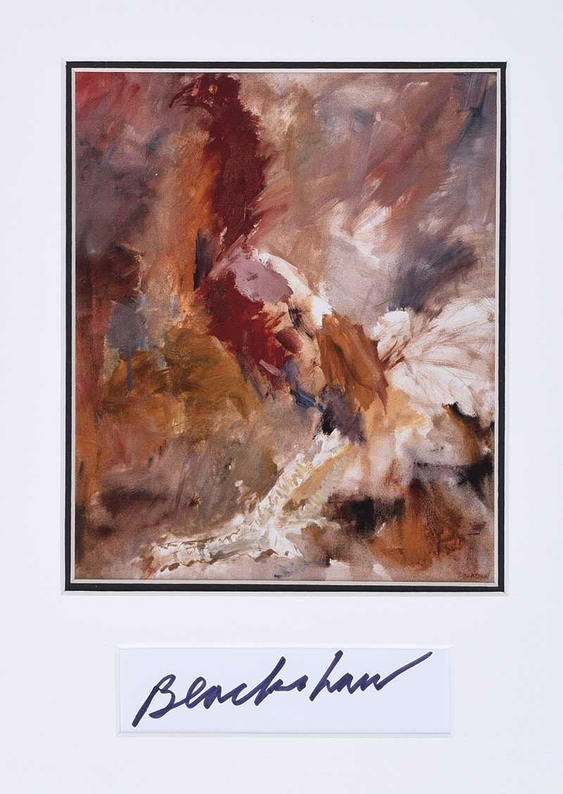 Basil Blackshaw, HRHA HRUA - COCKEREL - Coloured Print - 6 x 5 inches - Signed