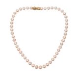 TASAKI 18CT GOLD PEARL NECKLACE WITH ORIGINAL BOX