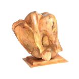 Wevner Groll - SYMBIOSIS - Carved Sycamore Sculpture - 33 x 26 inches - Unsigned