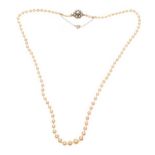 STRAND OF PEARLS WITH 9CT GOLD CLASP
