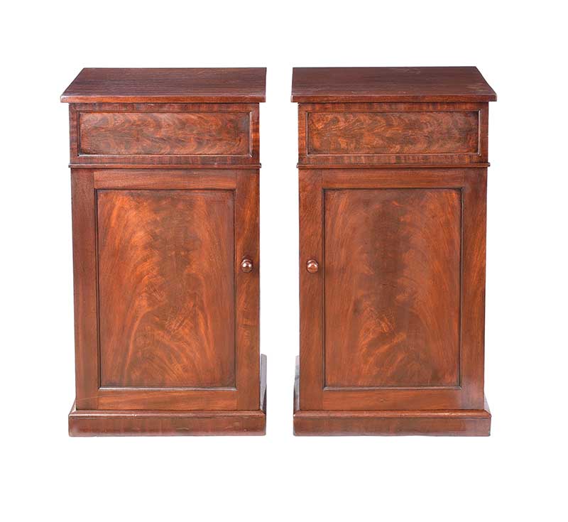 PAIR OF NINETEENTH CENTURY BEDSIDE PEDESTALS - Image 5 of 5