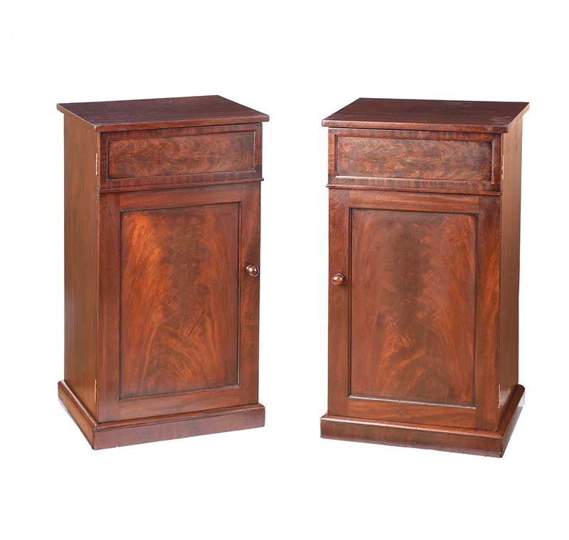 PAIR OF NINETEENTH CENTURY BEDSIDE PEDESTALS