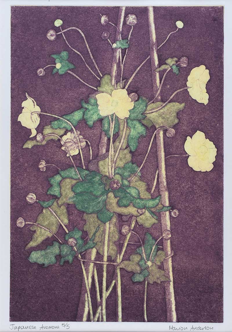 Marion Anderson - JAPANESE ANEMONE - Limited Edition Coloured Lithograph (5/5) - 14 x 9 inches -