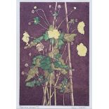 Marion Anderson - JAPANESE ANEMONE - Limited Edition Coloured Lithograph (5/5) - 14 x 9 inches -