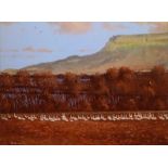 David Overend - BINEVENAGH MOUNTAIN - Coloured Print - 6 x 8 inches - Signed