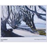 Lisa Ballard - DARK HEDGES & SHADOWS - Coloured Print - 13 x 19 inches - Signed