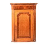 GEORGIAN OAK HANGING CORNER CABINET