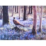 Julian Friers, RUA - PHEASANT - Coloured Print - 7 x 9.5 inches - Unsigned