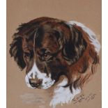 English School - STUDY OF A DOG - Watercolour Drawing - 9.5 x 8.5 inches - Signed in Monogram