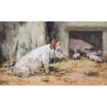 Neville Barker - THE INQUISITIVE PIGLETS - Oil on Canvas - 8 x 13 inches - Signed